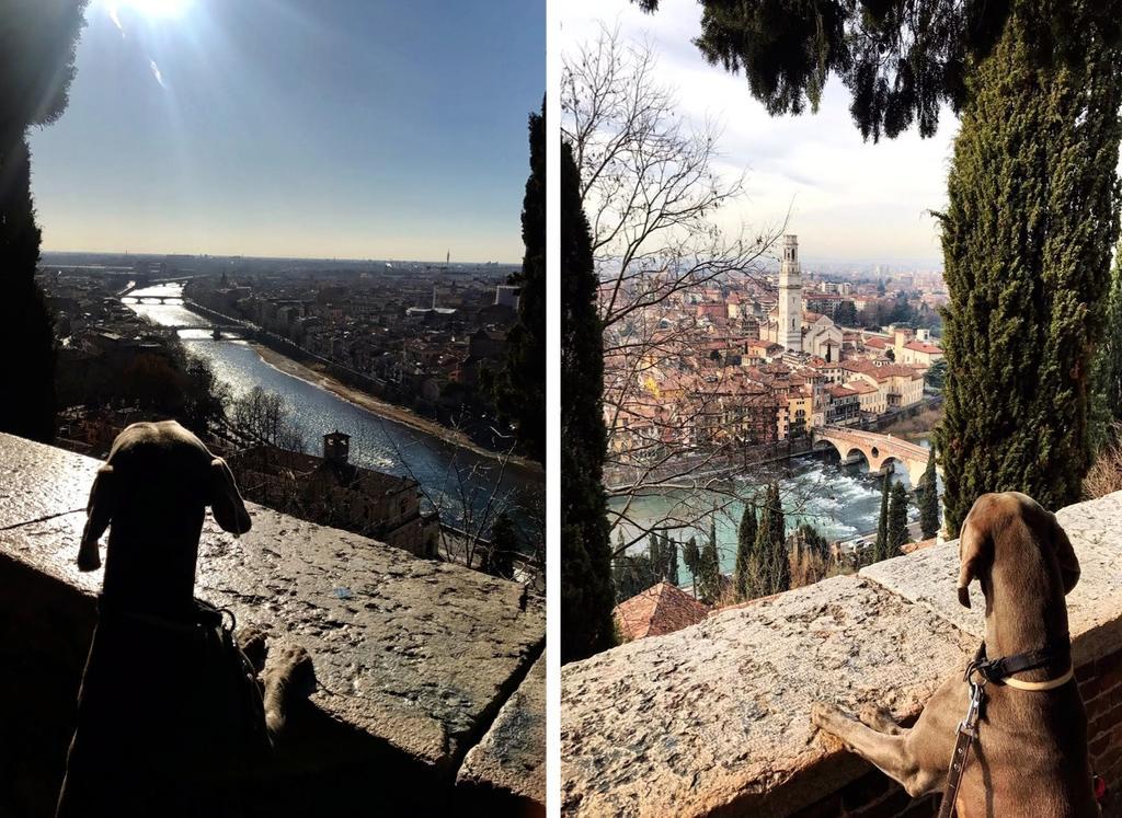 B&B Borgo Re Teodorico เวโรนา ภายนอก รูปภาพ